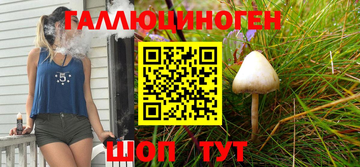 Псилоцибиновые грибы мицелий  купить наркоту  Северск  Вход с VPN 
